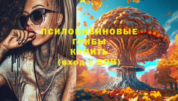 МДПВ Алзамай