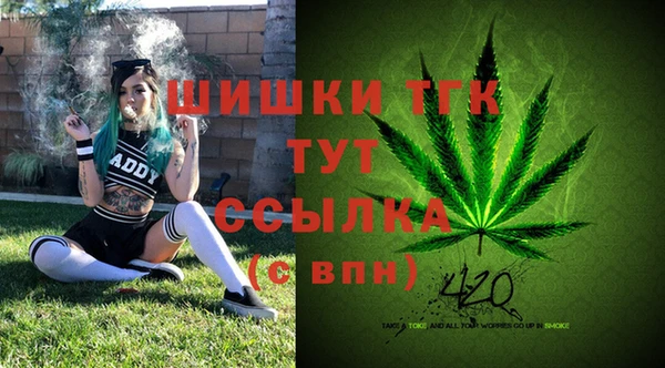 jwh Аркадак