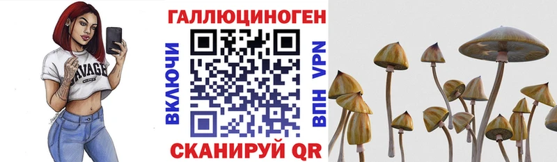 Купить  Удачный  Псилоцибиновые грибы Magic Shrooms 