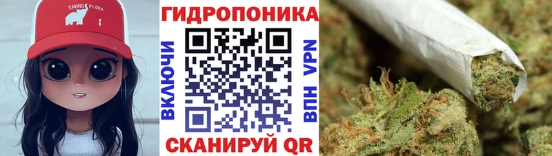 Бошки Шишки VHQ  Купить закладки  Удачный 
